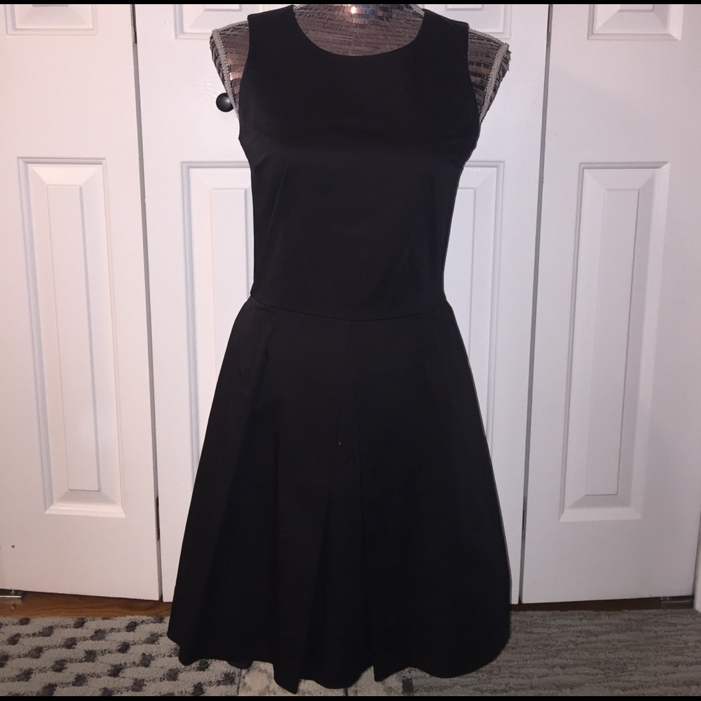 Gap Skater Dress